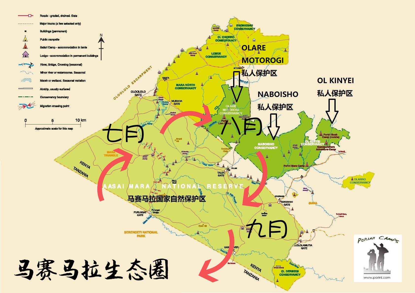 东非动物大迁徙发生在包括坦桑尼亚塞伦盖蒂草原和肯尼亚马赛