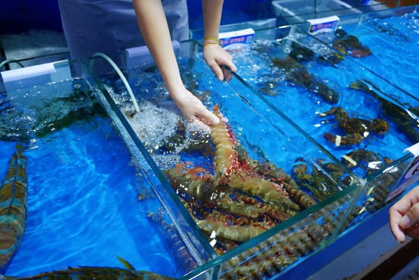 麻城锦鲤游玩攻略,麻城锦鲤游玩攻略一日游