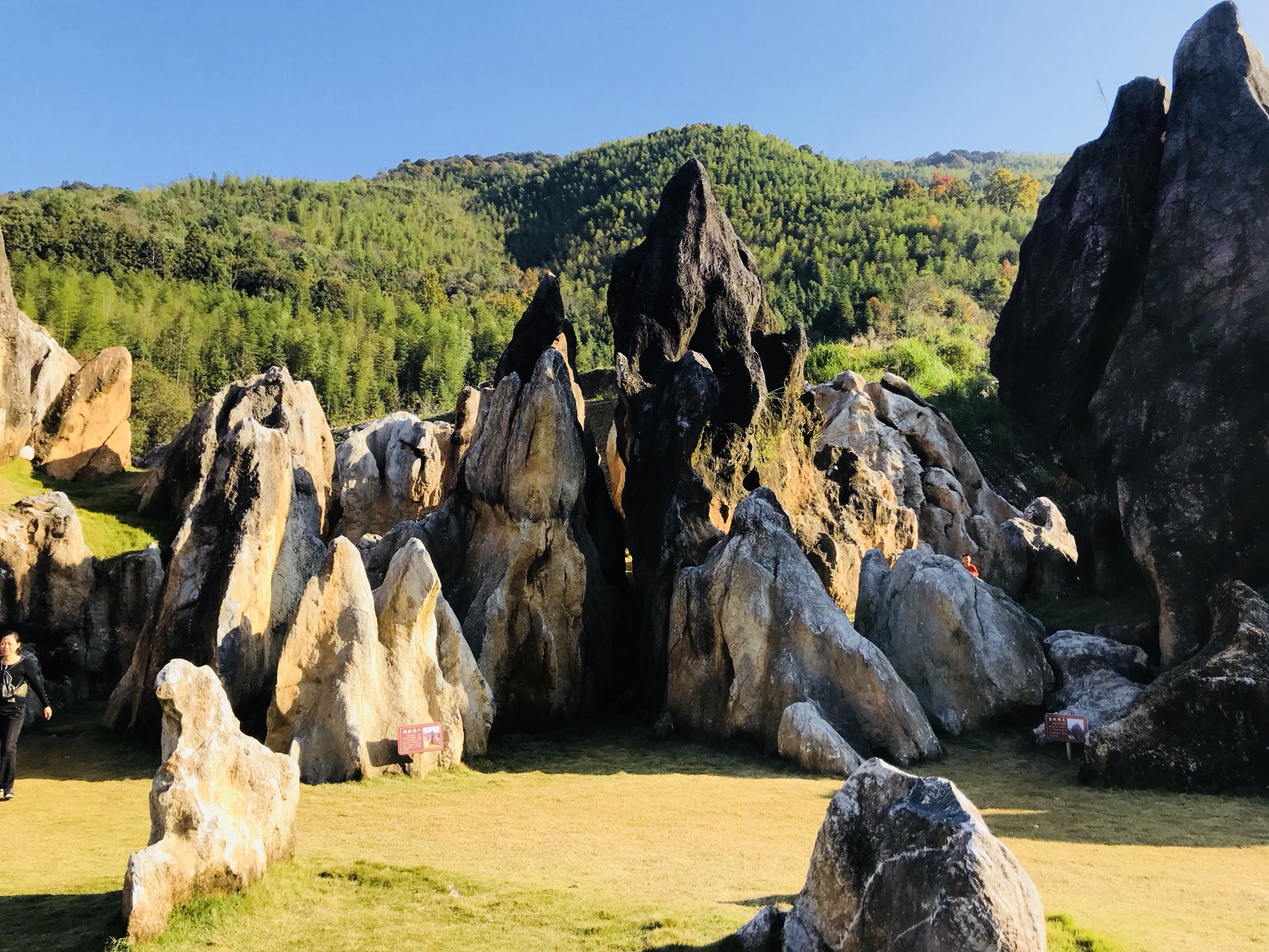 顺昌一日游