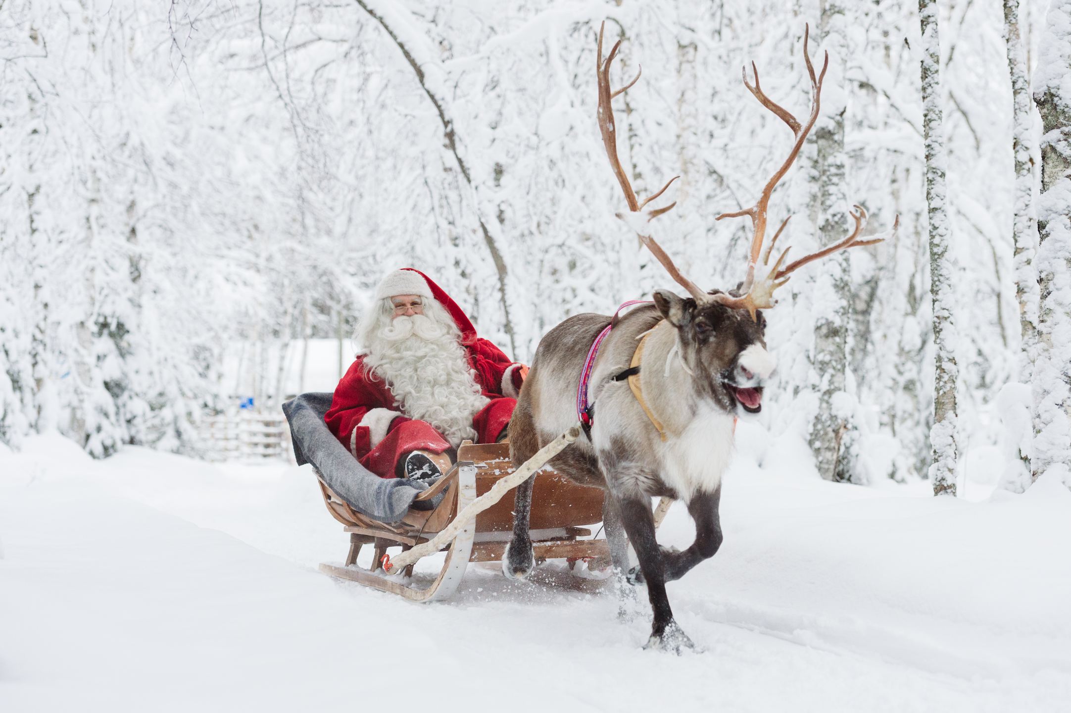 芬兰拉普兰区罗瓦涅米圣诞老人村一日游(合影 证书 驯鹿拉雪橇 雪地