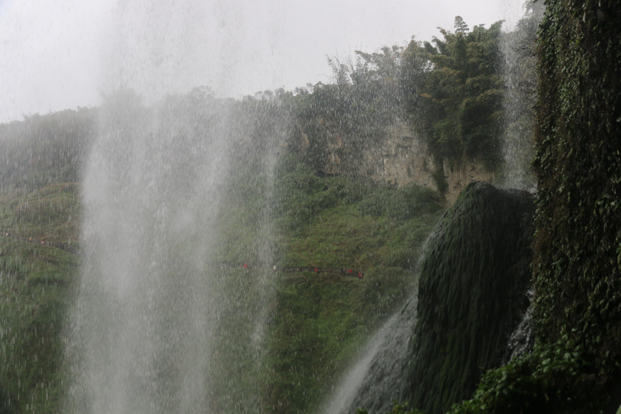 wKgEaVyBK3-AHljFAAeVnjZWzrY60.jpeg?imageView2%2F2%2Fw%2F600%2Fh%2F600%2Fq%2F90