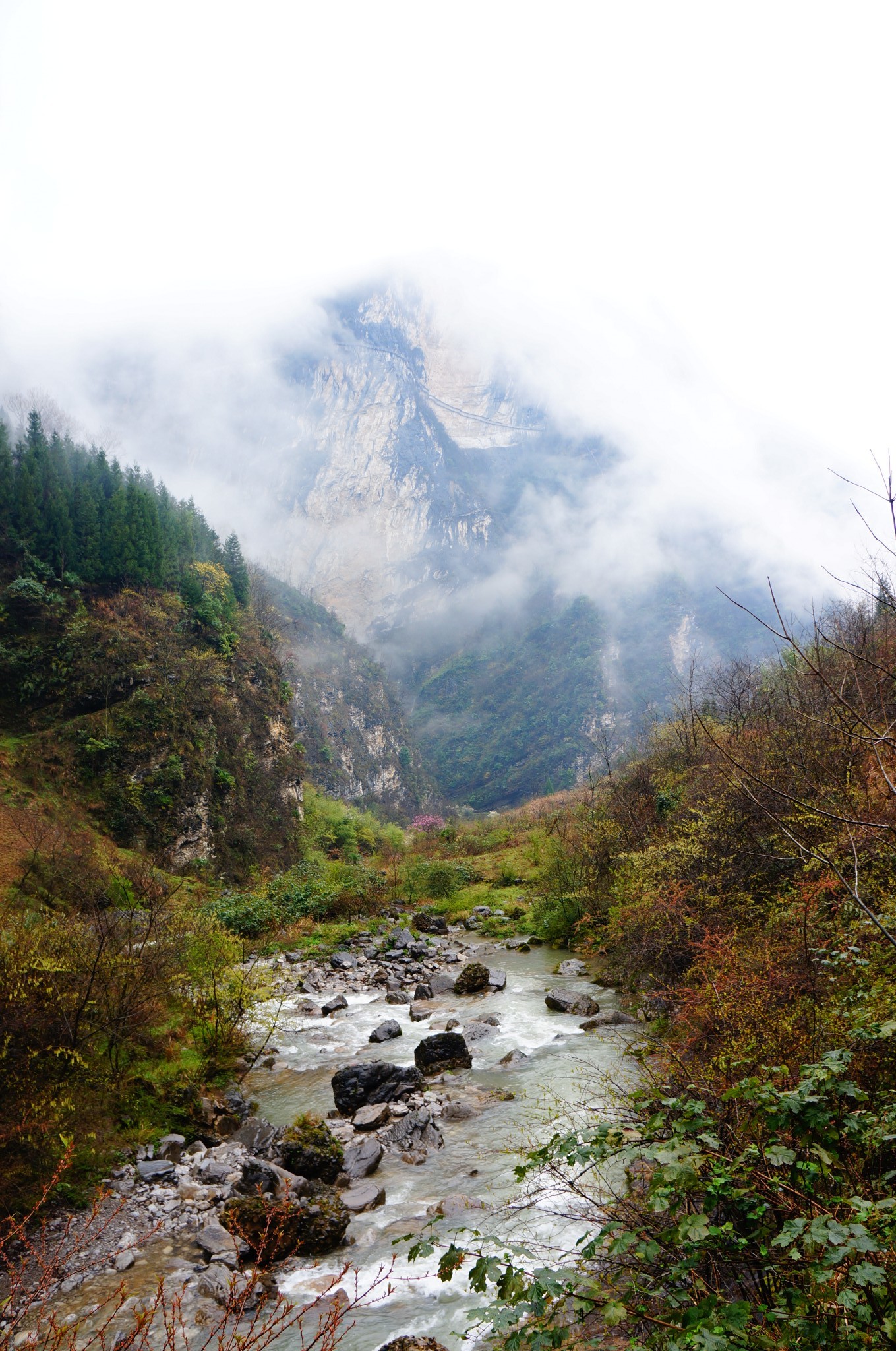 wKgEaVyss6iAefllAAzHFqHaIP070.jpeg?imageView2%2F2%2Fw%2F600%2Fq%2F90%7CimageMogr2%2Fstrip%2Fquality%2F90