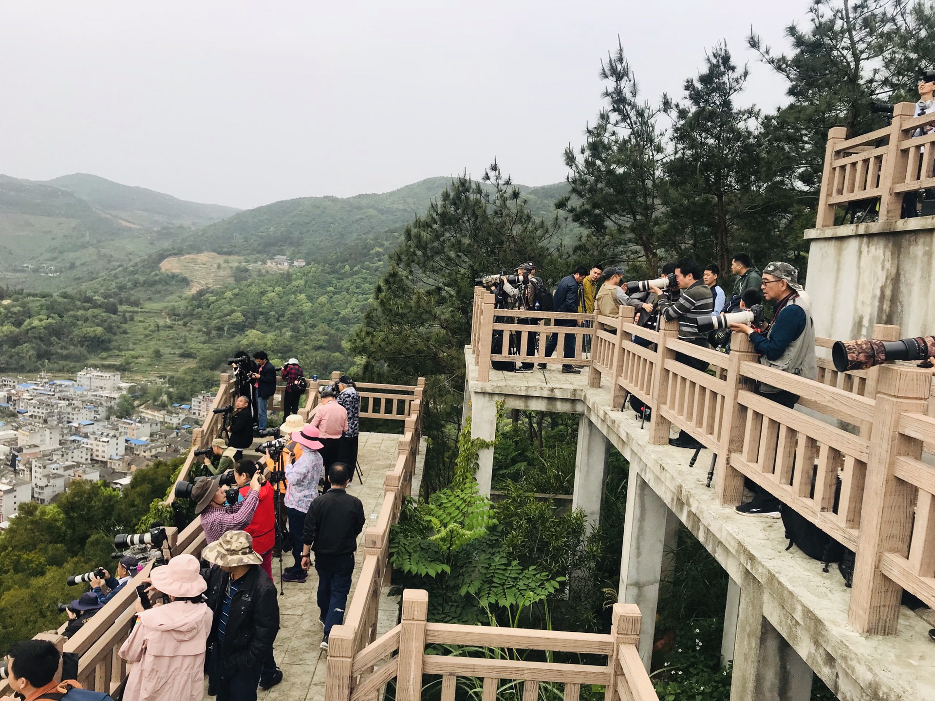 wKgEaVzLGXKAH2_sAA5WjmXTbKg12.jpeg?imageView2%2F2%2Fw%2F600%2Fh%2F600%2Fq%2F90