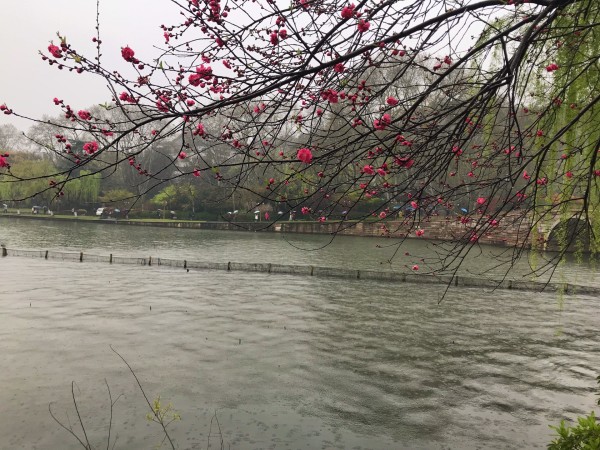 烟雨江南音乐 wKgEaVyjNXCABJ5UABHdQtQrYEI94.jpeg?imageView2%2F2%2Fw%2F600%2Fh%2F600%2Fq%2F90