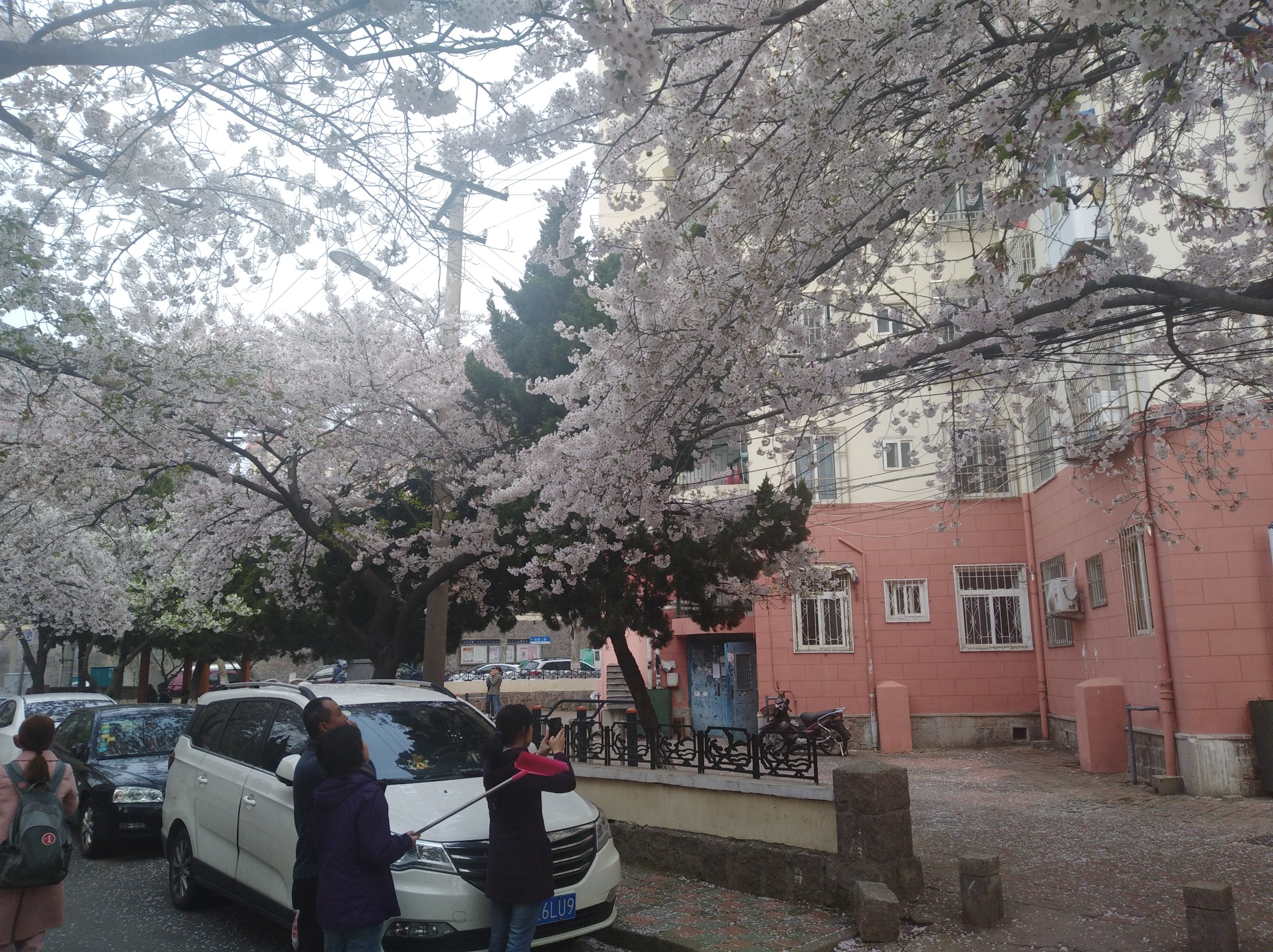 wKgEaVyzvuqAd4JCABHYgegUCl870.jpeg?imageView2%2F2%2Fw%2F600%2Fh%2F600%2Fq%2F90