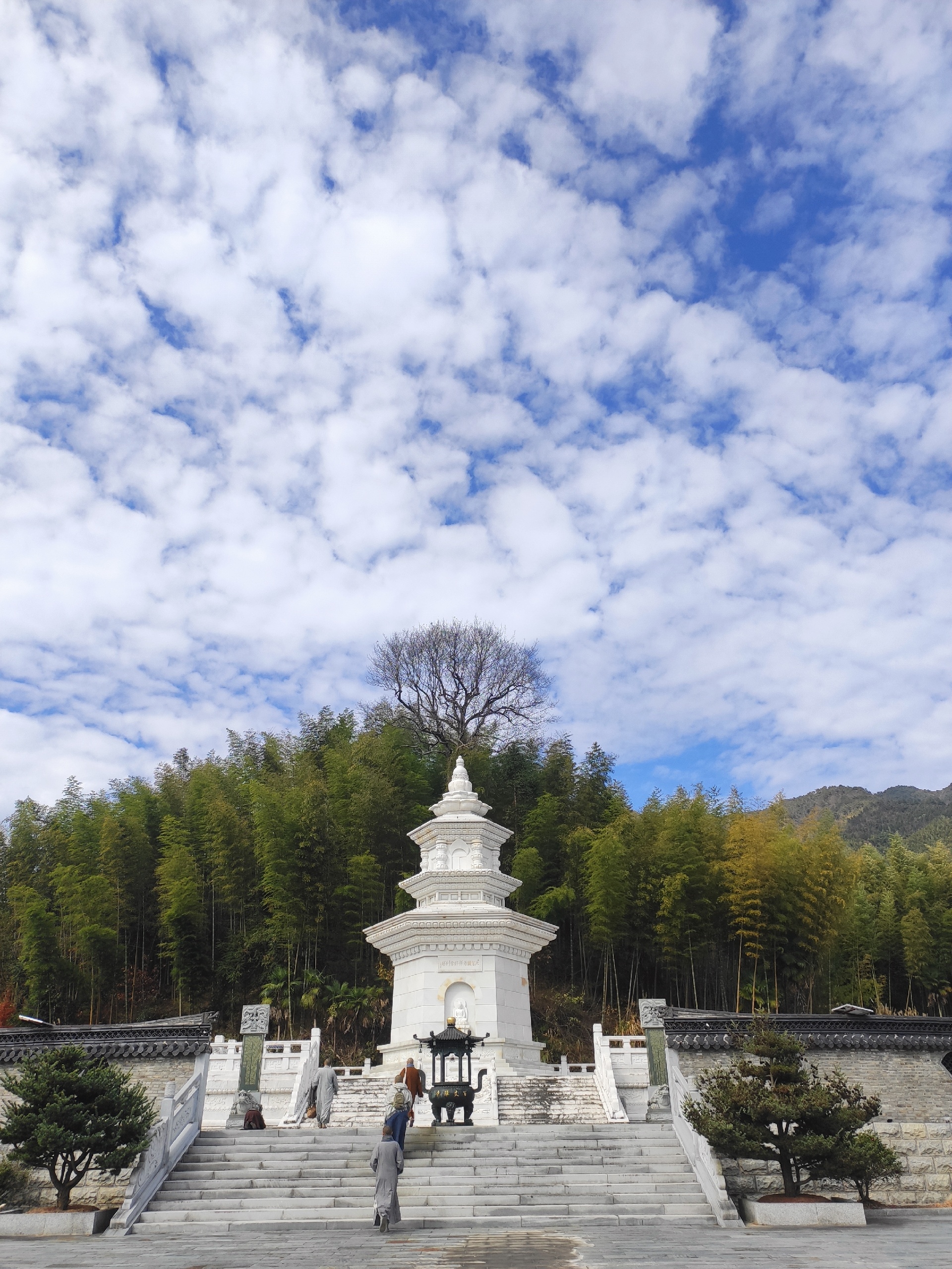 百丈山 马蜂窝