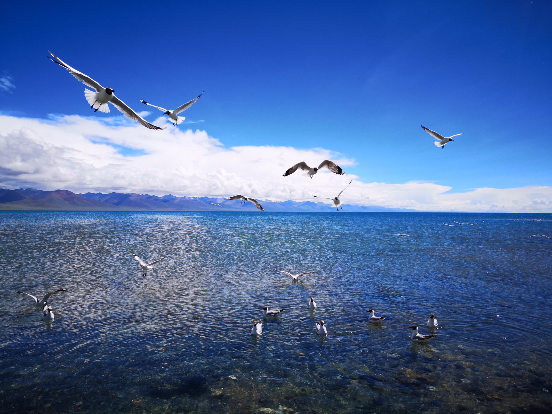 wKgIDFuHOBqABWBAAAu-_Nd50zw17.jpeg?imageView2%2F2%2Fw%2F600%2Fh%2F600%2Fq%2F90