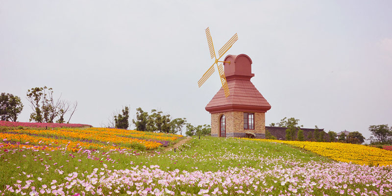 杭州湾海上花田景区