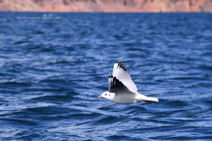【云南旅游】夏季云南旅游注意事项,夏季云南
