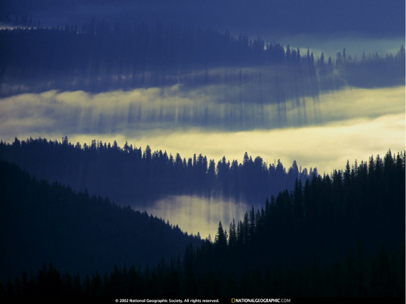 wKgByU_eu47zK8V6AAY3MQKkKQY63.jpeg?imageView2%2F2%2Fw%2F680%2Fq%2F90