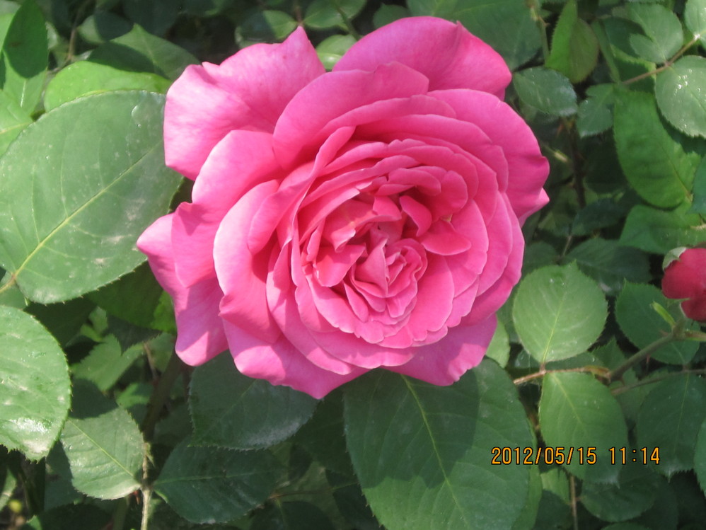 wKgByU-ztyjQp2EmAAJ1GJO8teg93.jpeg?imageView2%2F2%2Fw%2F600%2Fq%2F90%7CimageMogr2%2Fstrip%2Fquality%2F90