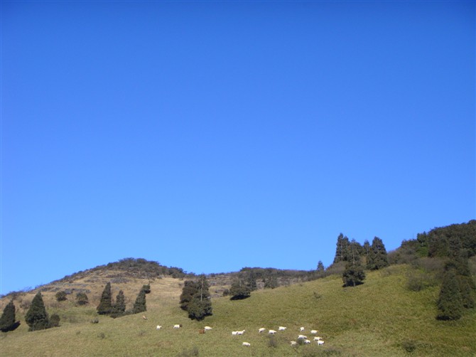 金佛山简谱_南川金佛山(3)