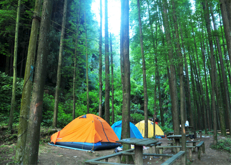 夜宿山王坪 畅游风吹岭图片131,重庆旅游景点,风景