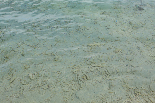 马来西亚沙巴游记攻略,沙巴自助游攻略