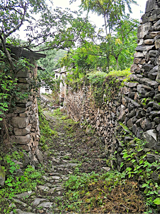 水峪村人口_水峪村