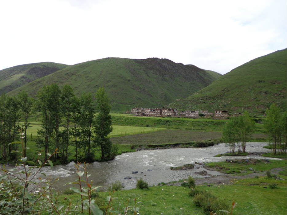 猜成语 黄叶 秋_看图猜成语(2)