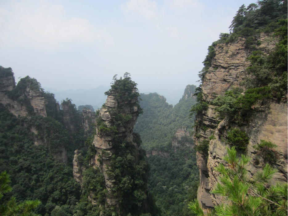 张家界有多少人口_...安静的一个人去张家界旅行(2)