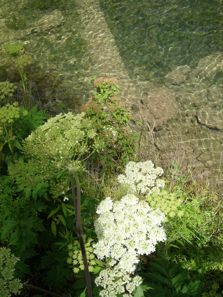 wKgB21BC_4D1kdXLAAeFPKMnFw853.jpeg?imageView2%2F2%2Fw%2F600%2Fh%2F600%2Fq%2F90