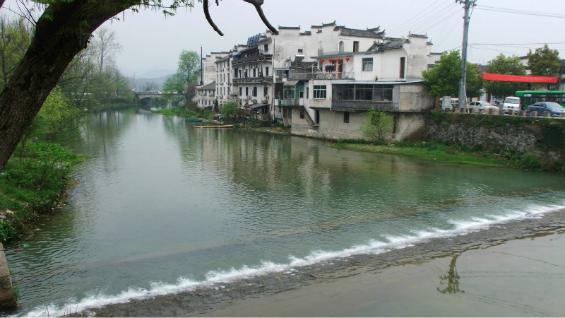 婺源人口味_婺源油菜花图片(3)