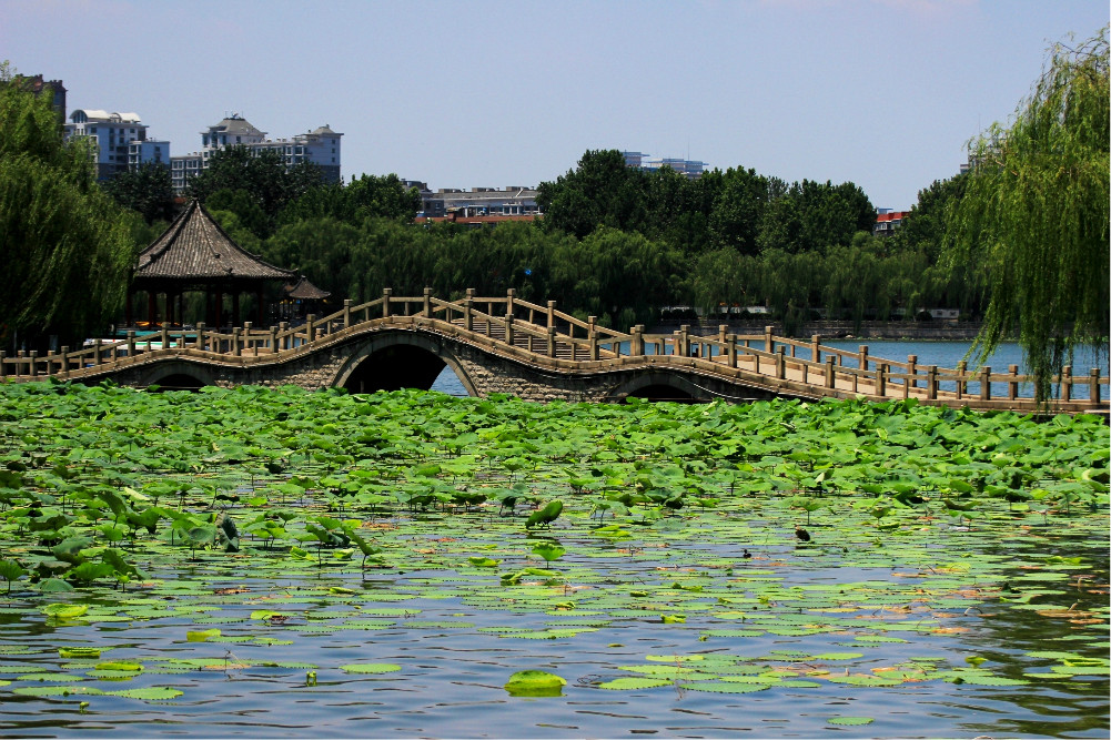 翼城到大明湖旅游