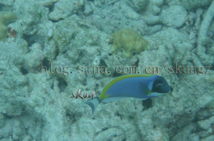 wKgB4lNzMi6ASdq_AAEwBON2FvA60.jpeg?imageView2%2F2%2Fw%2F600%2Fq%2F90%7CimageMogr2%2Fstrip%2Fquality%2F90