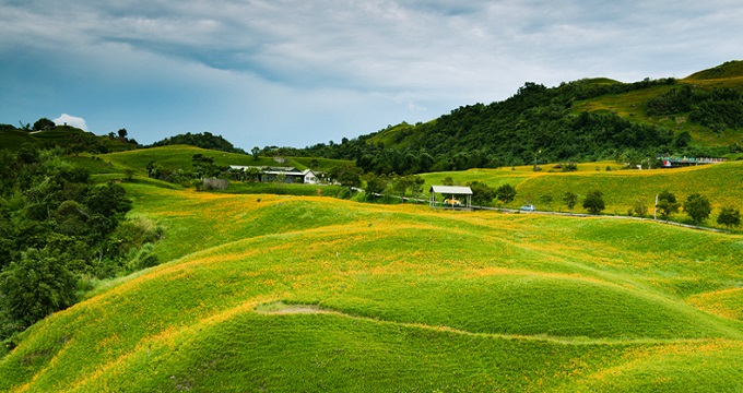 富里