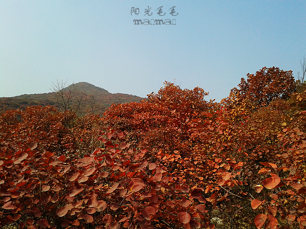 wKgB4lJyDOmAPjMfAAlWQfnwTgM72.jpeg?imageView2%2F2%2Fw%2F600%2Fq%2F90%7CimageMogr2%2Fstrip%2Fquality%2F90