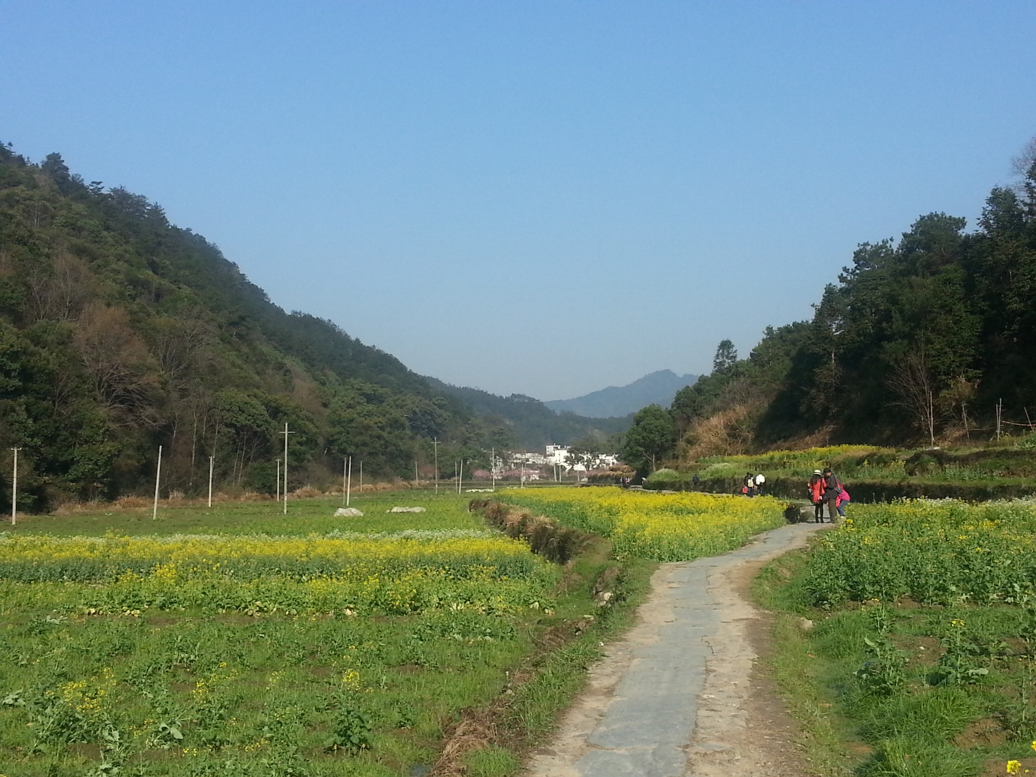 馨香园到金山镇搭岭村怎么走_东平湖金山坝怎么走