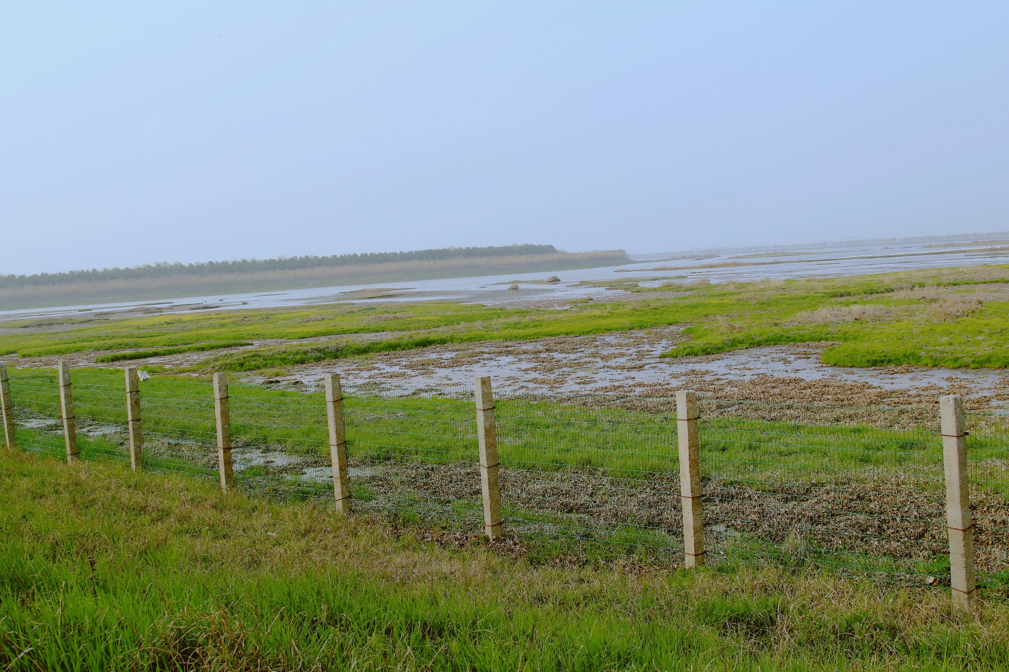 府河湿地——醉美黄花涝图片96,武汉旅游景点,风景名胜 - 马蜂窝图库