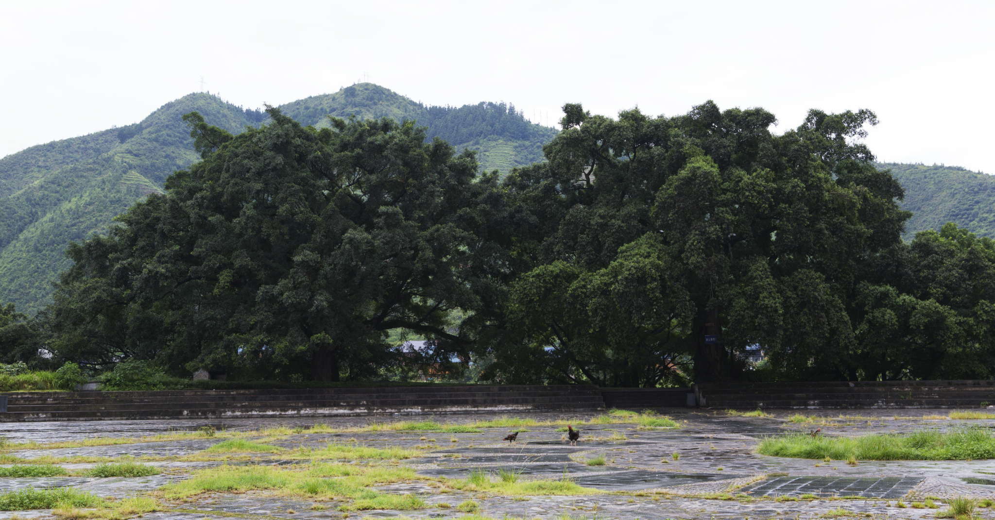 印江县有多少人口_长江关注 特辑 长江入河排污口核查记者一线直击(2)