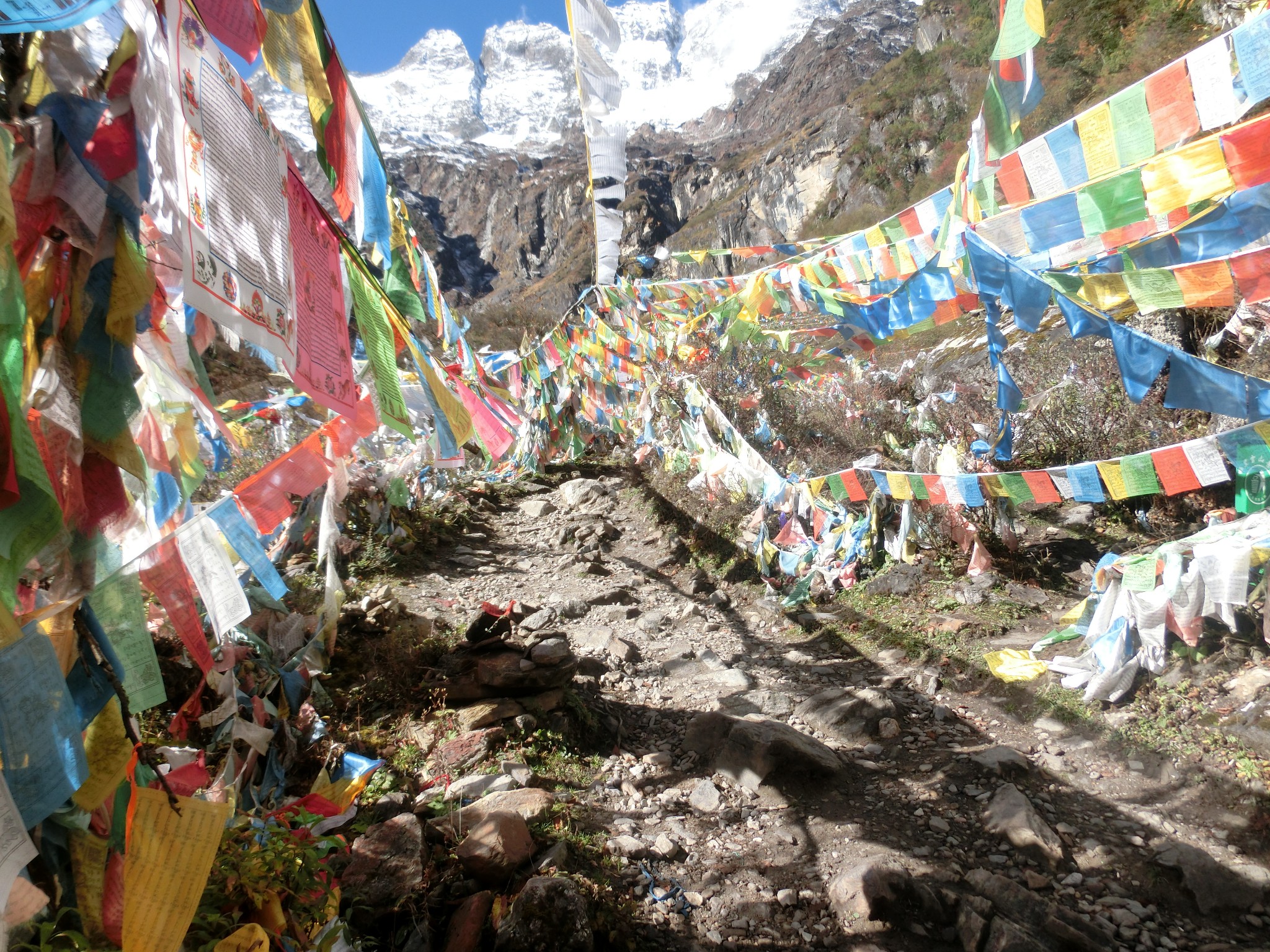 10.21经济半小时_经济半小时 解读北京奥运场馆建设情况报告(3)