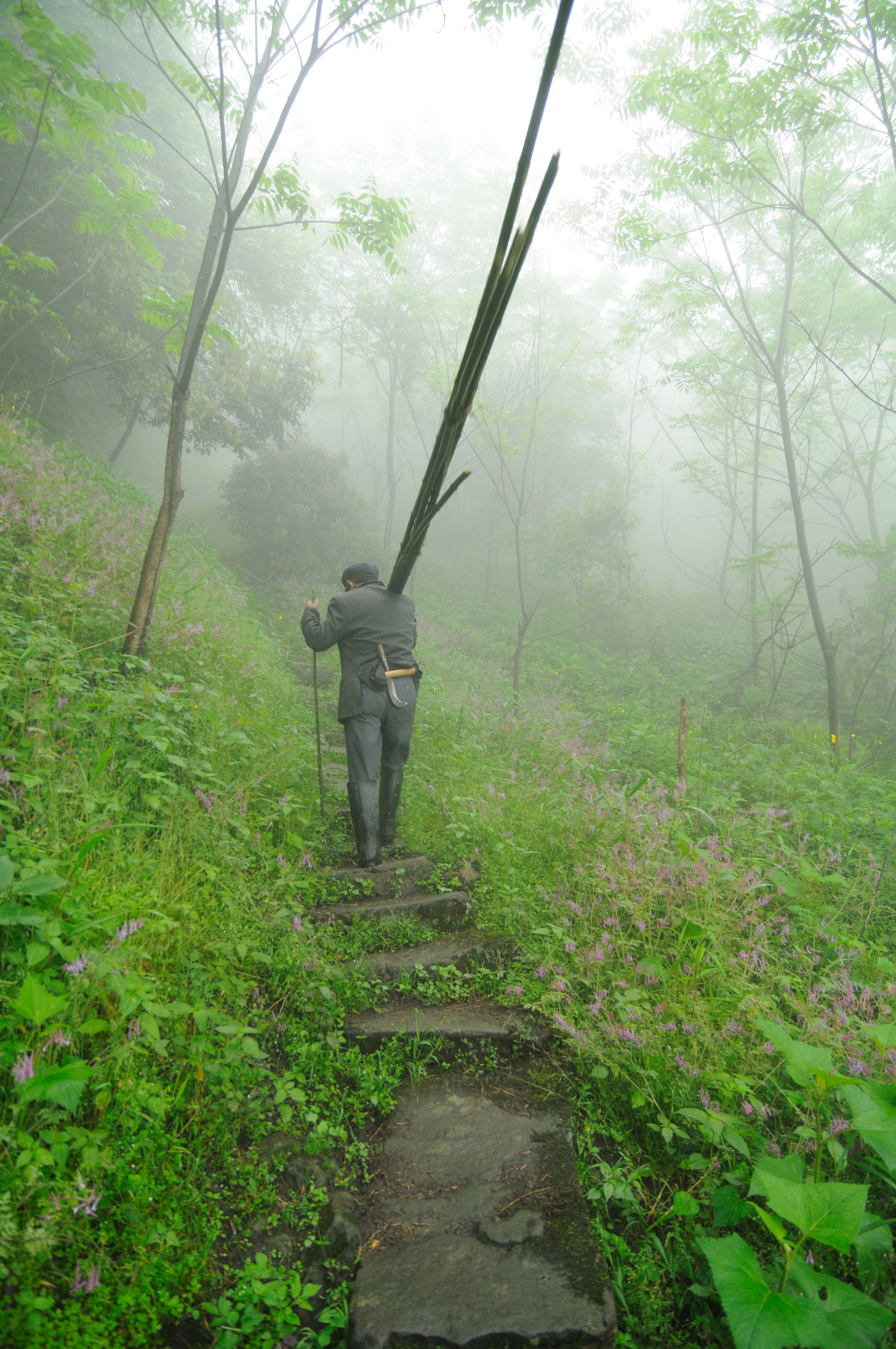 5. 住在山顶的樵夫.