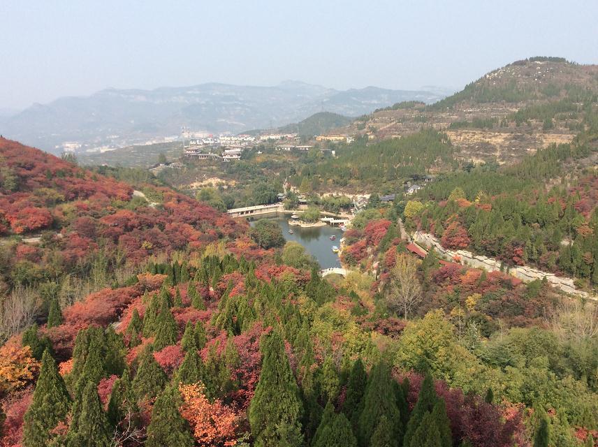 泰安旅游人口_泰安新生人口趋势图