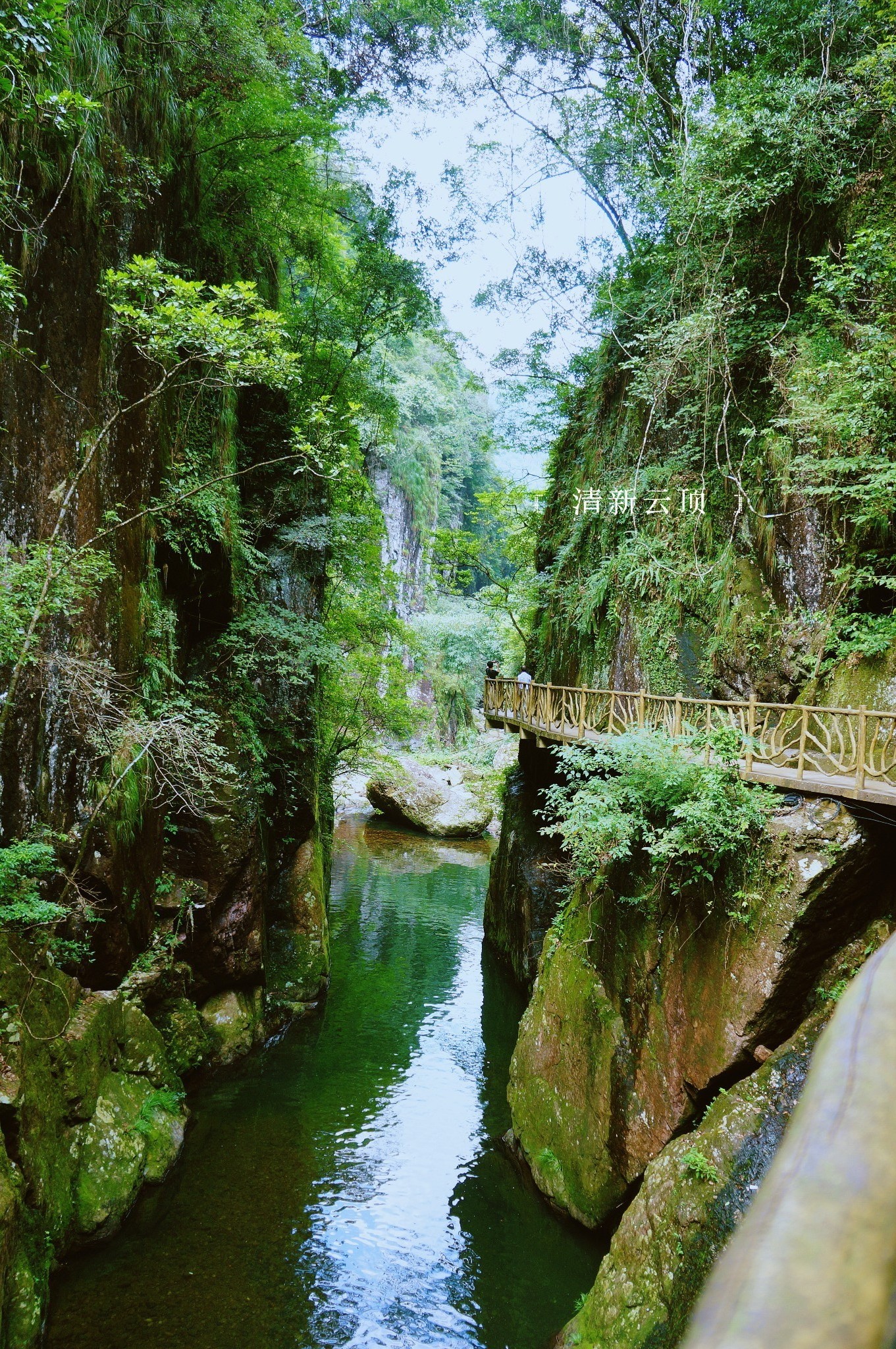 消夏计划#清新云顶甲天下--永泰云顶景区一日游
