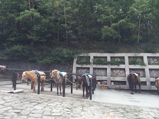 马山口人口有多少_全国文明村镇 马山口欢迎您 内乡论坛 36行社区(2)