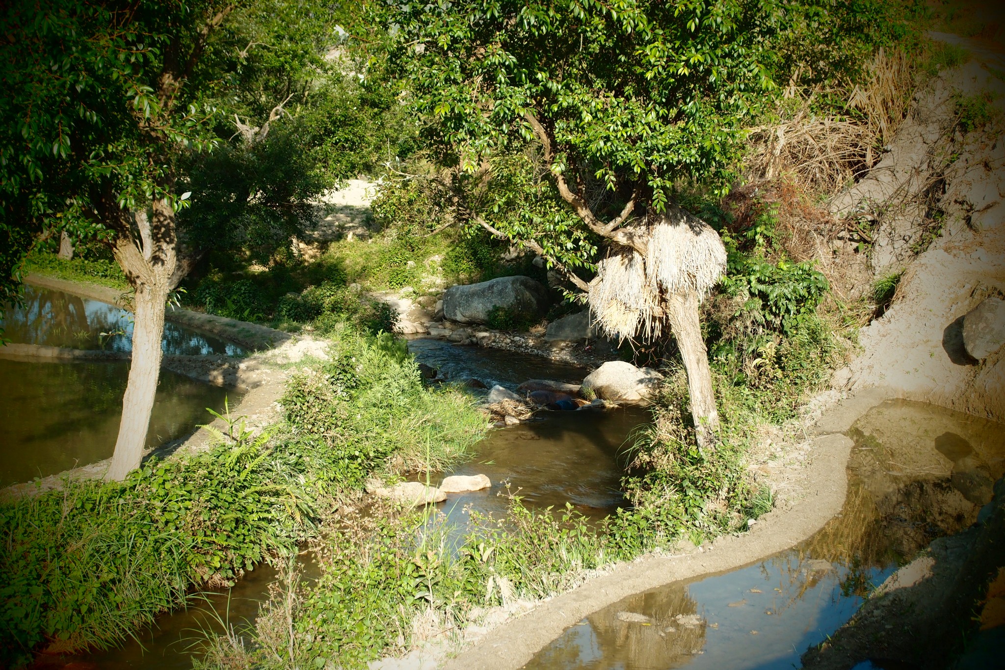 龙岔——红河州最容易被忽略的温泉图片43,建水旅游