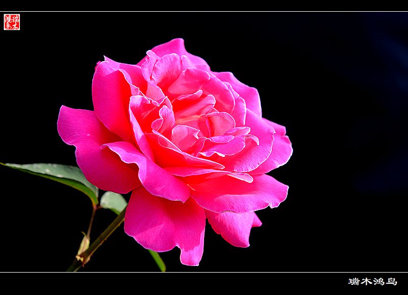 wKgBpVVj6OaAf9uSAAFXtZknEek92.jpeg?imageView2%2F2%2Fw%2F680%2Fq%2F90%7CimageMogr2%2Fstrip%2Fquality%2F90