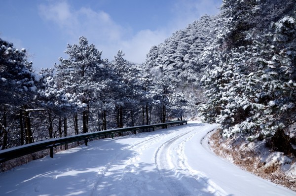 哪里大雪封路了 wKgBs1aqGR2APtTsABIowwS7-rc74.jpeg?imageView2%2F2%2Fw%2F600%2Fh%2F600%2Fq%2F90