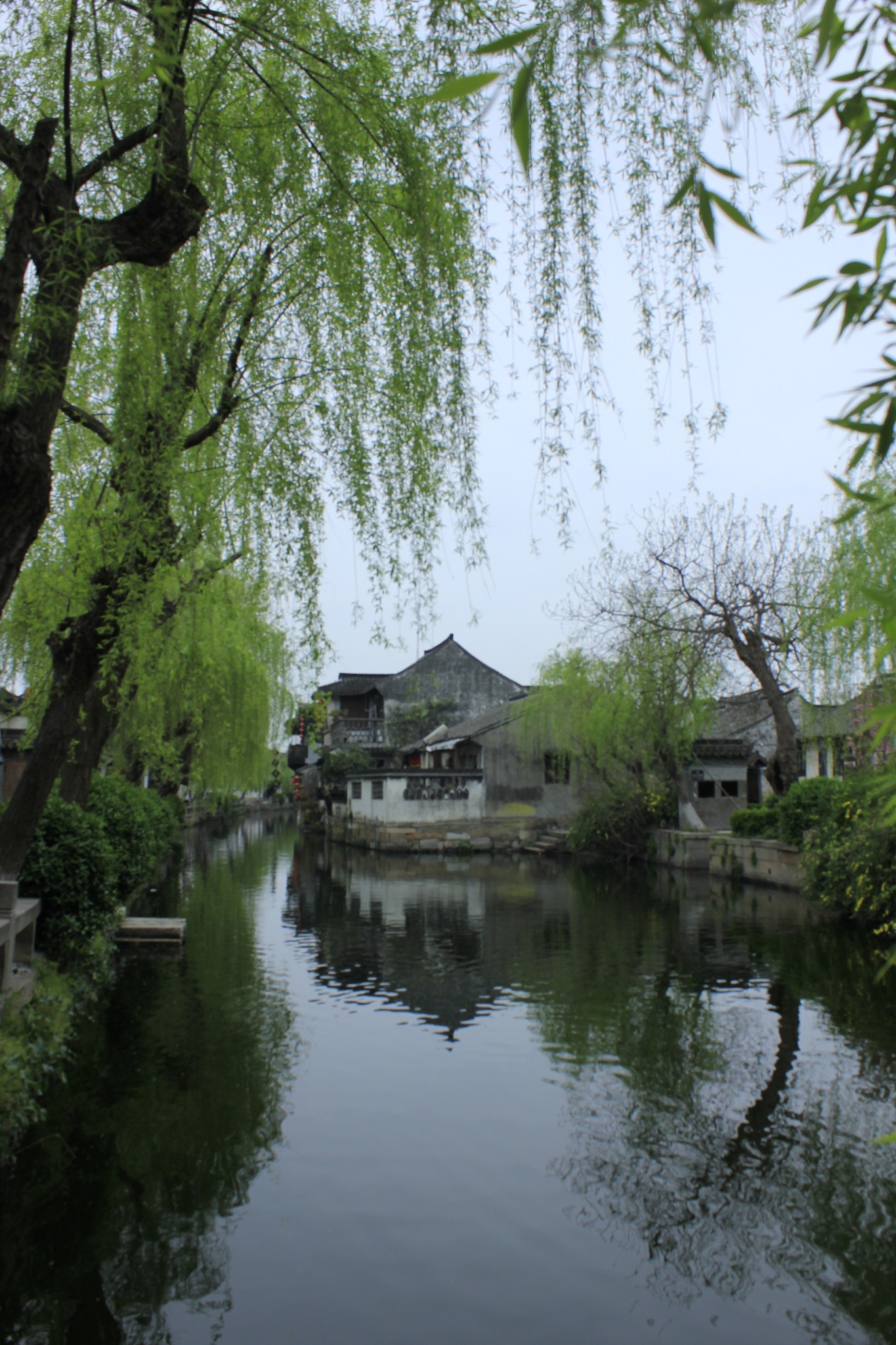 苏杭古镇,园林亲子游