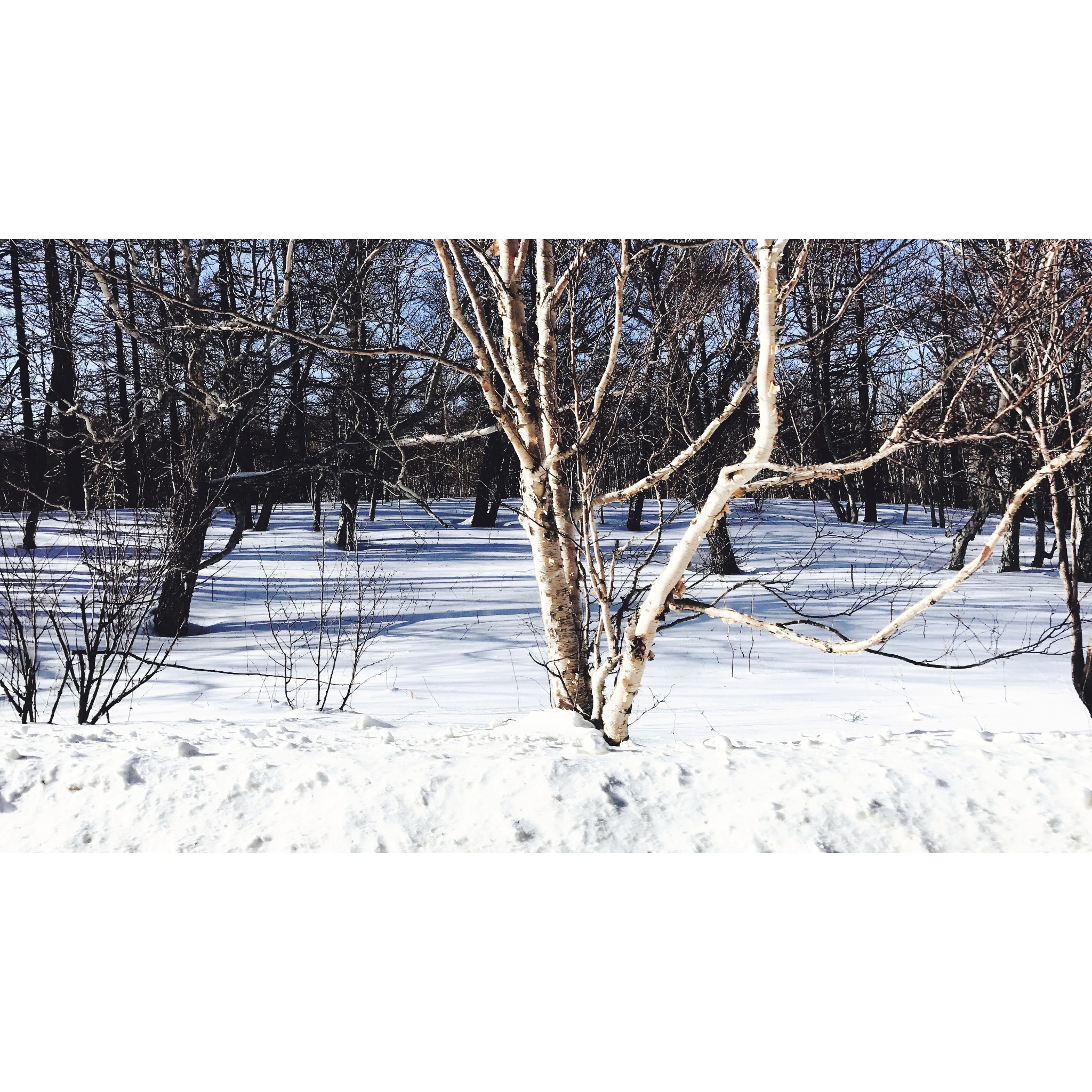 wKgBs1hXeciAcuVpABGd8ckxX_I56.jpeg?imageView2%2F2%2Fw%2F600%2Fh%2F600%2Fq%2F90