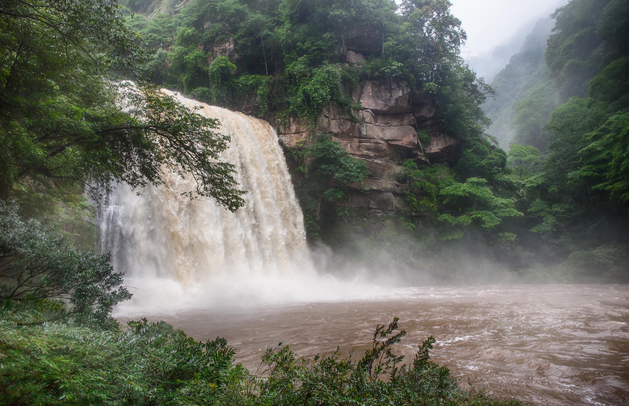 四川古蔺黄荆老林丨清肺氧吧,夏日避暑首选地