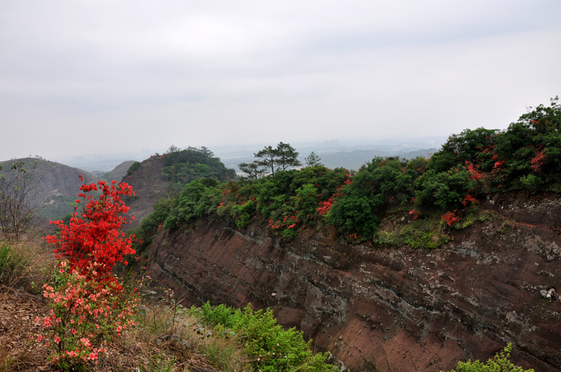 韶关南雄苍石寨满山映山红 红土地图片73,韶关旅游