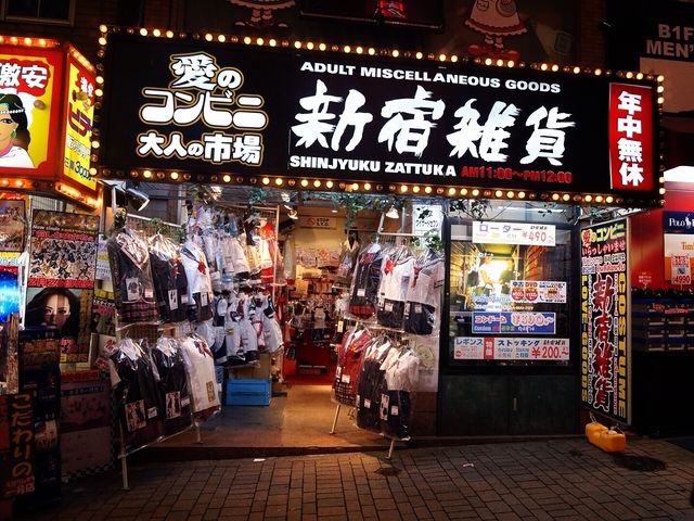 新宿内衣店_新宿天鹅(3)