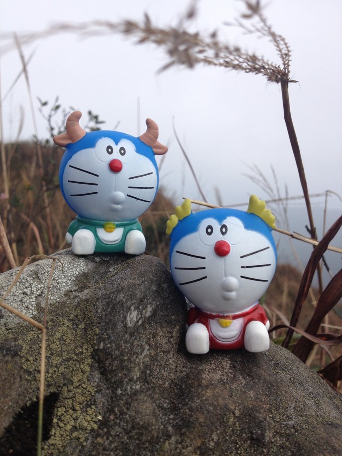 一座山和坐着老虎图片猜成语_看图猜成语(3)