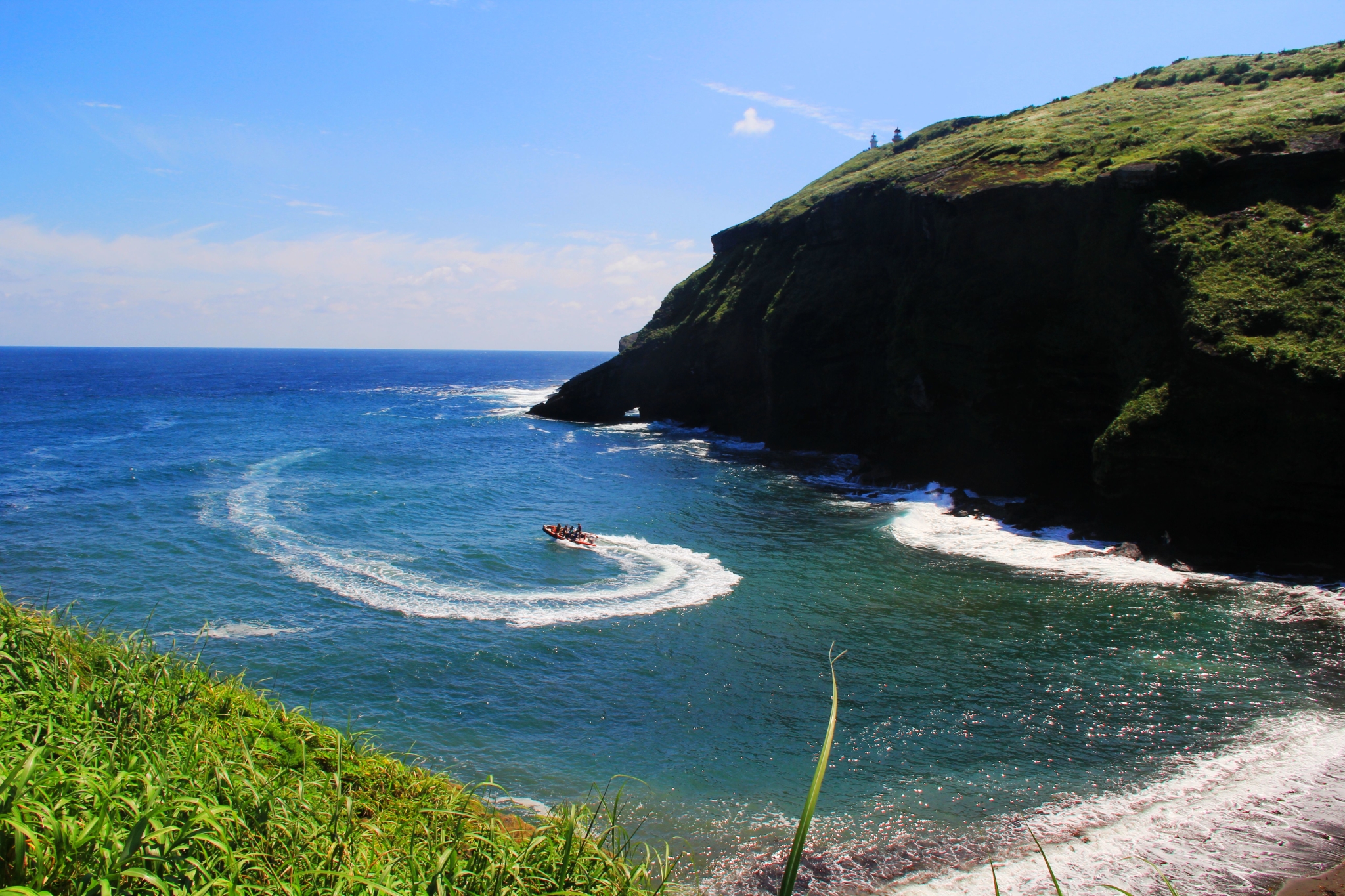 济州排名_济州真柏盆景图片