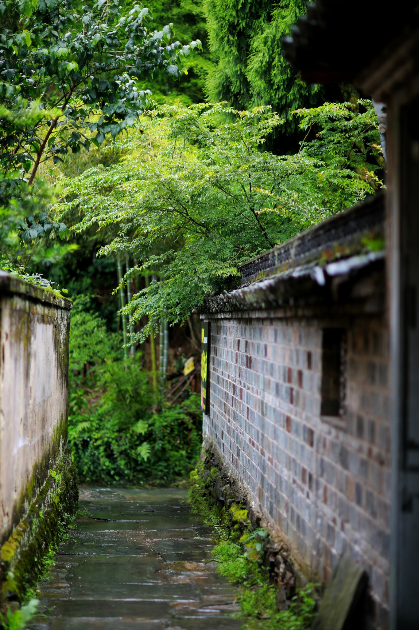 山重水路疑无路柳暗花明又一村猜成语(2)