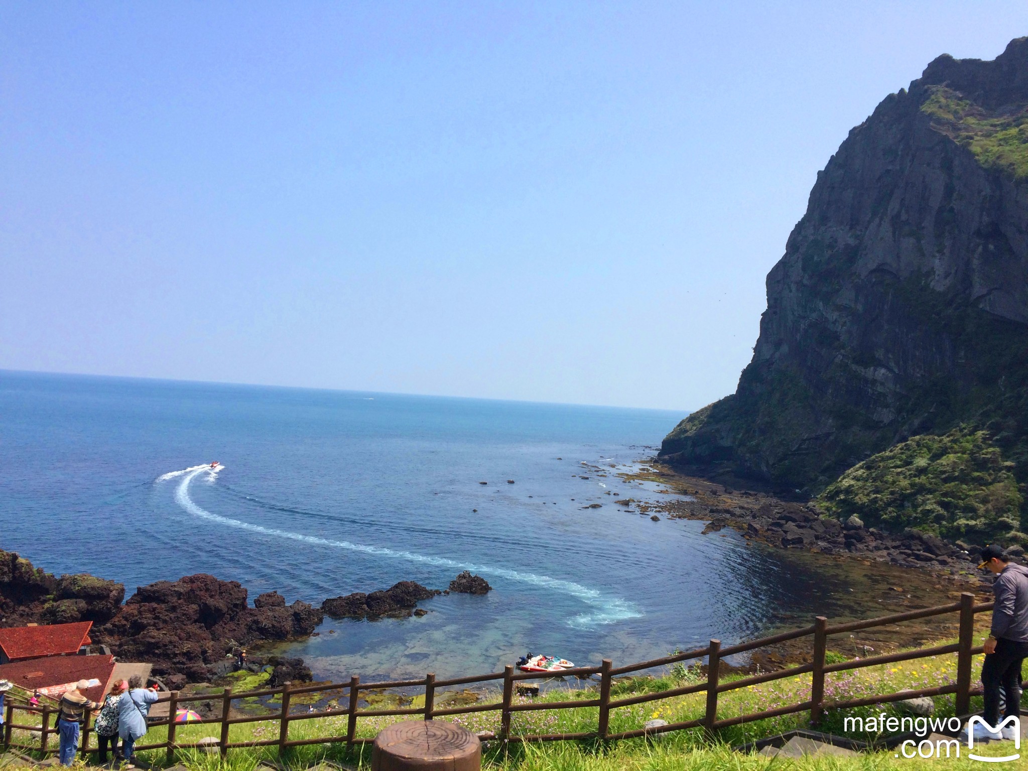 济州排名_济州真柏盆景图片(2)