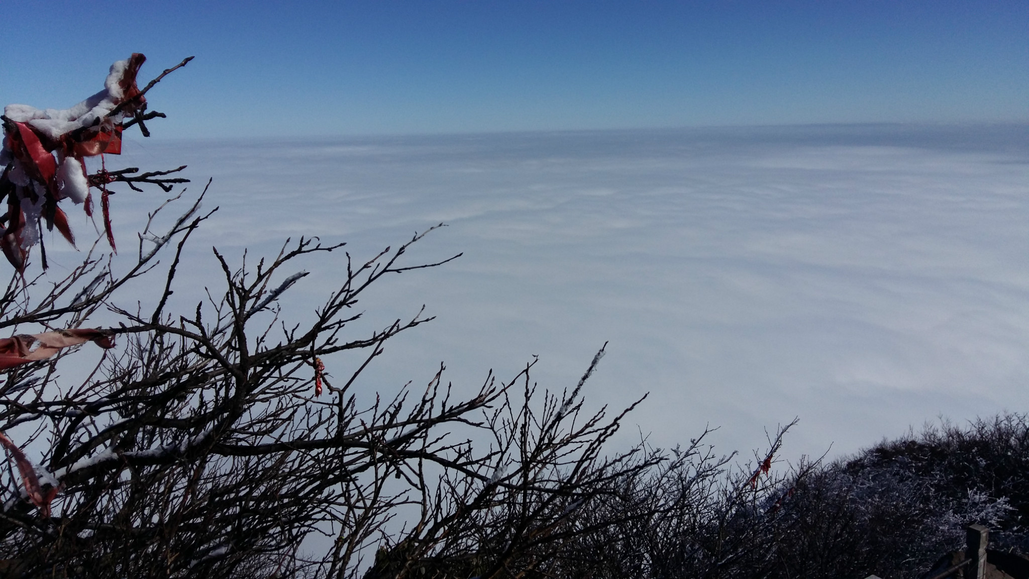 wKgBs1aVE3qATeLtAAkV2j54Ov436.jpeg?imageView2%2F2%2Fw%2F600%2Fh%2F600%2Fq%2F90