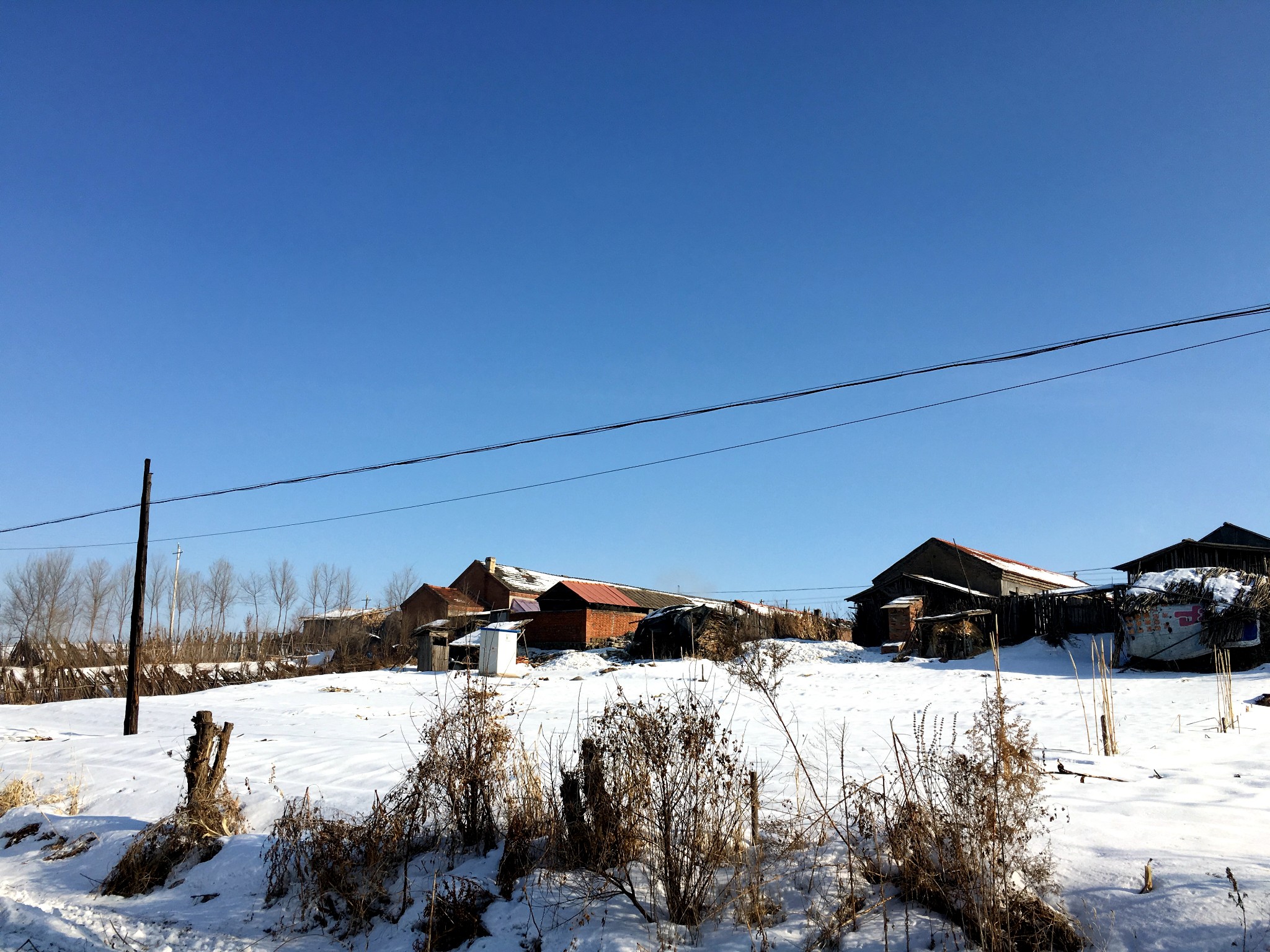 冰雪旺清门——第三届新宾满族冬捕年货节掠影