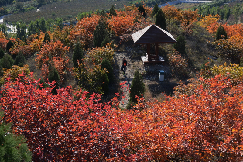 北京市旅游 顺义旅游攻略 北京顺义舞彩浅山秋色之旅   国家投资建于